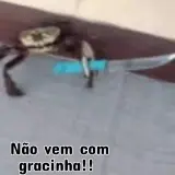 Sticker de Memes Brasileiros para WhatsApp