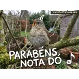 Sticker para WhatsApp