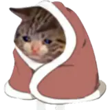 Figurinha de Gatos para WhatsApp