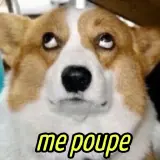 Memes Brasileiros WhatsApp sticker