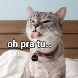 Sticker para WhatsApp