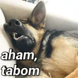 Figurinha de Cachorros para WhatsApp