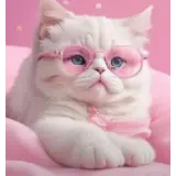 Sticker de Animais para WhatsApp