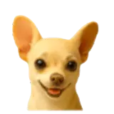 Figurinha de Cachorros para WhatsApp