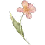 Figurinha para WhatsApp