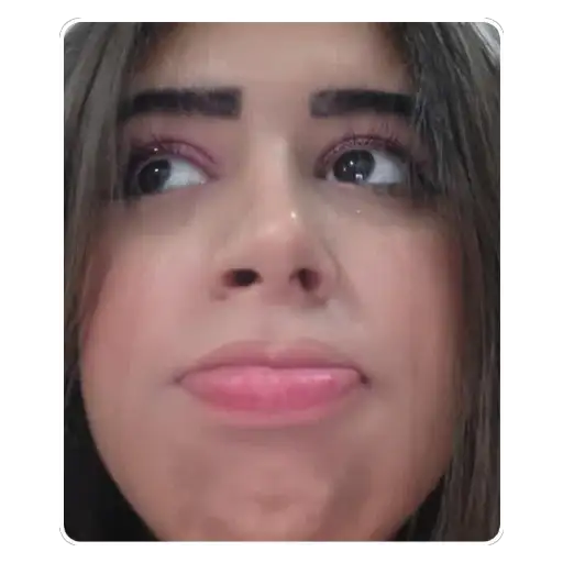 Coletadas sticker 511