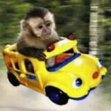 Figurinha de Animais para WhatsApp