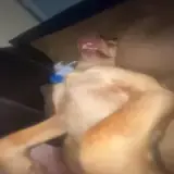 Figurinha para WhatsApp