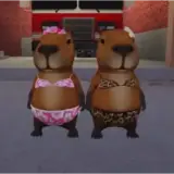 Sticker de Animais para WhatsApp