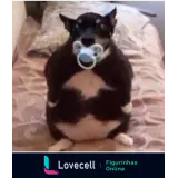 Figurinha para WhatsApp