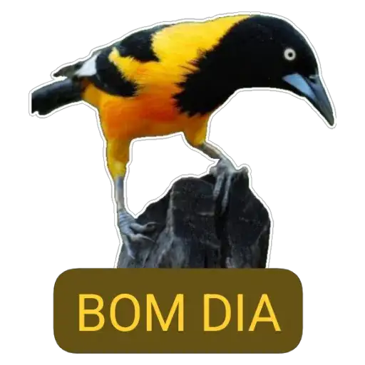 Coletadas sticker 2043