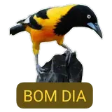 Figurinha para WhatsApp