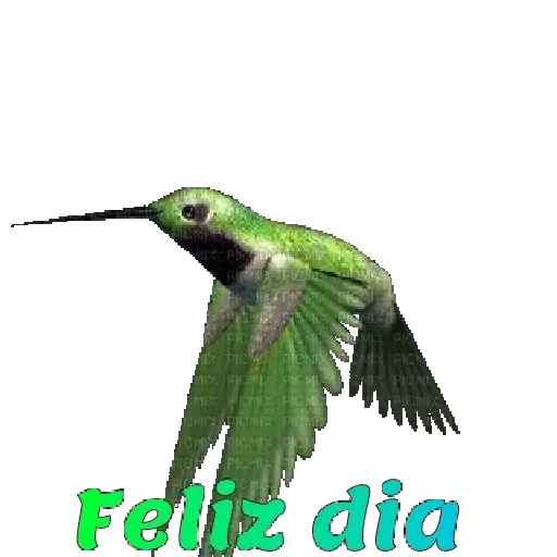 Coletadas sticker 18605
