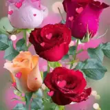 Figurinha para WhatsApp