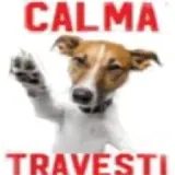 Figurinha para WhatsApp
