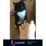 WhatsApp sticker
