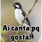 Sticker para WhatsApp