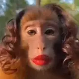 Sticker de Engraçados para WhatsApp