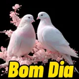 Figurinha de Saudações para WhatsApp