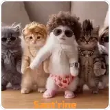 Figurinha de Animais para WhatsApp