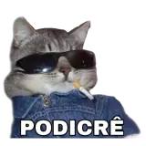 Figurinha de Memes Brasileiros para WhatsApp