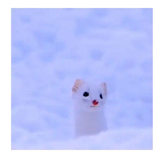 Coletadas sticker 449