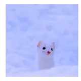 Figurinha para WhatsApp