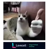 WhatsApp sticker