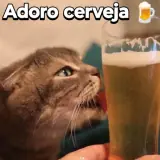 Figurinha de Memes para WhatsApp