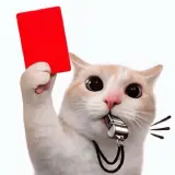 Figurinha de reação para WhatsApp