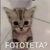 Sticker de Gatos para WhatsApp