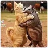 Figurinha de Animais para WhatsApp