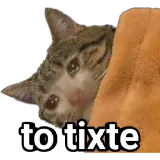 Figurinha de Memes para WhatsApp
