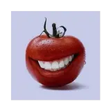 Engraçados WhatsApp sticker