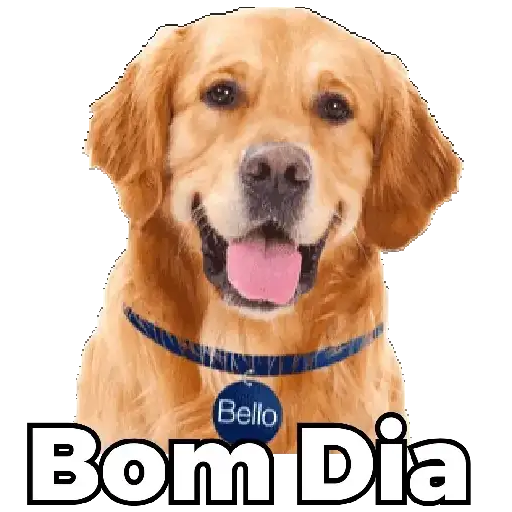 Coletadas sticker 10810