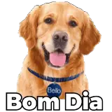 Figurinha de Cachorros para WhatsApp