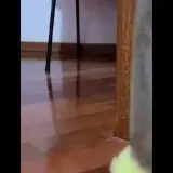 Figurinha de Memes para WhatsApp