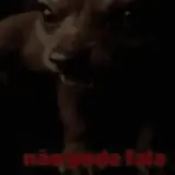 Cachorros WhatsApp sticker