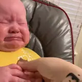 Figurinha de reação para WhatsApp