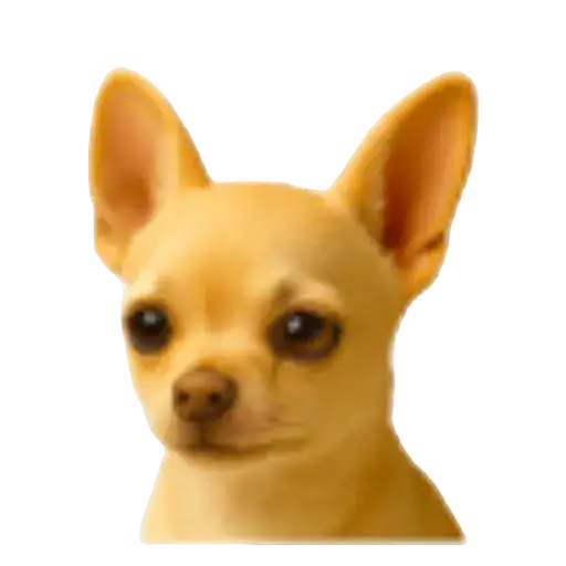 Coletadas sticker 20966