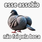 WhatsApp sticker