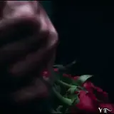 Amor WhatsApp sticker