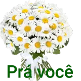 Amor WhatsApp sticker