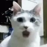 Sticker para WhatsApp