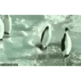 Figurinha de Animais para WhatsApp