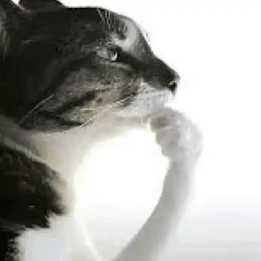 Coletadas sticker 585