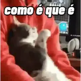 Memes Brasileiros WhatsApp sticker