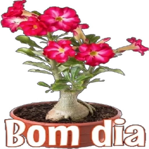 Figurinha para WhatsApp — Saudações