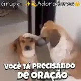 Figurinha de Cachorros para WhatsApp