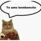 Figurinha de Amor para WhatsApp